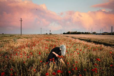 Scenic view of young woman picking flowers on flowering field against sky at sunset