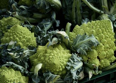 High angle view of vegetables for sale at market stall