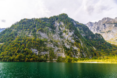 Scenic view of lake by trees against sky