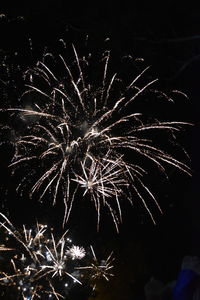 Low angle view of firework display at night