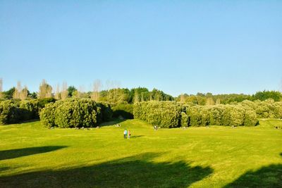 Scenic view of landscape against clear blue sky