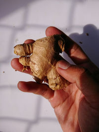 Close-up of hand holding ice cream