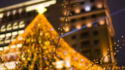 Illuminated christmas tree at night