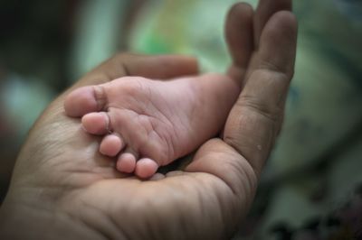 Cropped hand of parent holding feet of baby