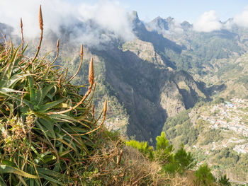 In the mountains of madeira