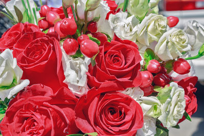 Close-up of red roses