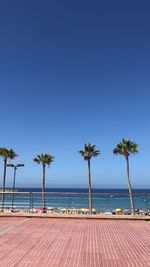 Palm trees on beach against clear blue sky