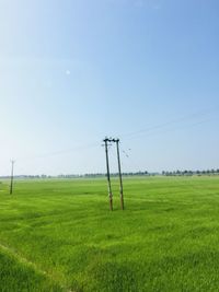 Wind turbines on field against clear sky