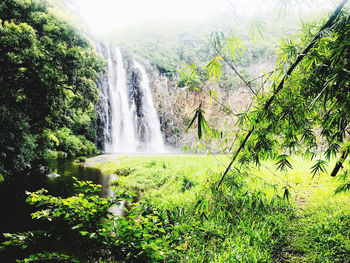 Scenic view of waterfall