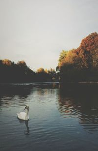 Scenic view of calm lake at sunset