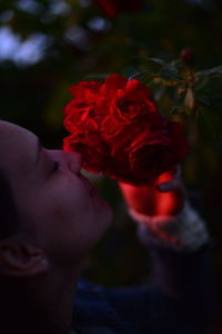 Close-up of red rose against blurred background