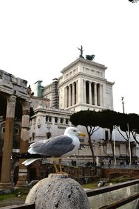 View of built structure in front of building