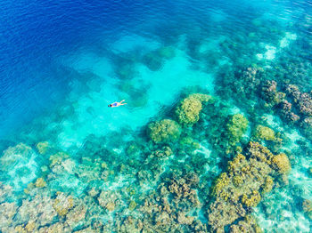 High angle view of people swimming in sea