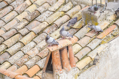 High angle view of stone wall
