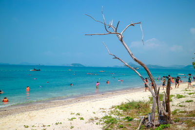 People on beach against clear sky