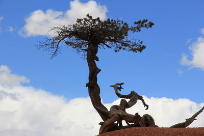 Low angle view of bare tree against blue sky