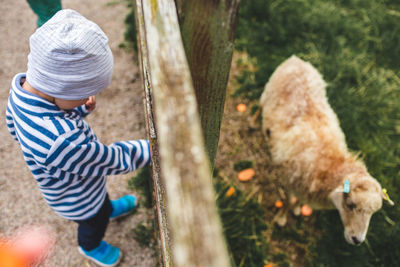 High angle view of boy standing by fence