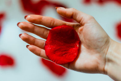 A hand holding a rose petal with blurred background of other petals