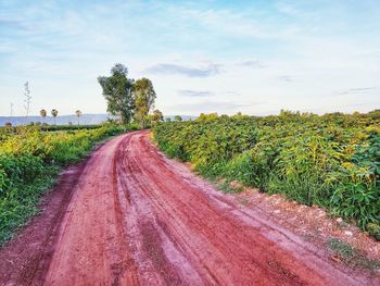 Dirt road amidst plants on field against sky