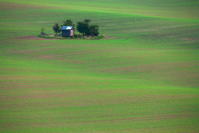 Scenic view of agricultural field