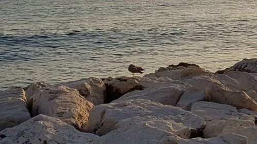 Rock formations in sea