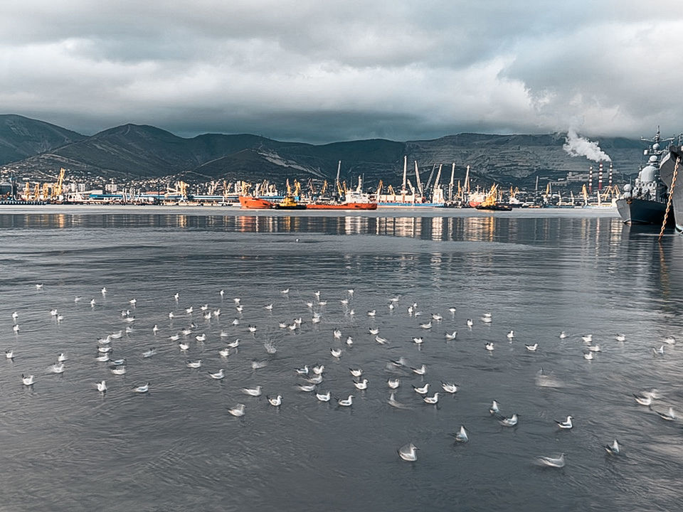 FLOCK OF SEAGULLS ON SEA AGAINST SKY