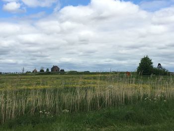 Scenic view of field against cloudy sky