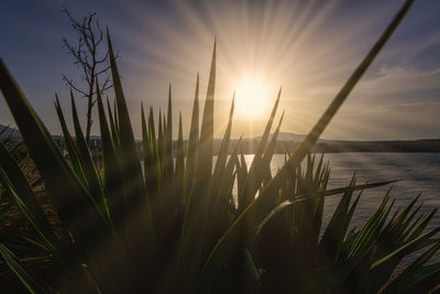 Against the sun and sea view