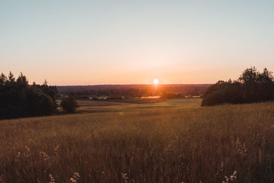 Scenic view of field against clear sky during sunset