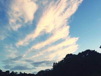 Low angle view of silhouette trees against sky