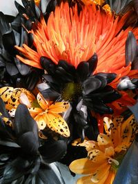 Close-up of orange leaves
