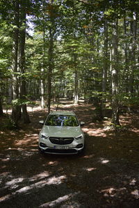 Car on road amidst trees in forest