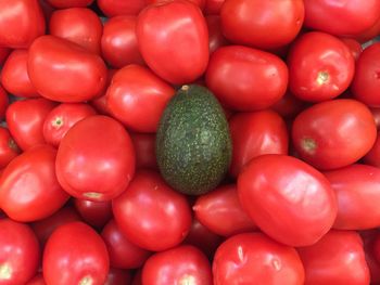 Full frame shot of tomatoes