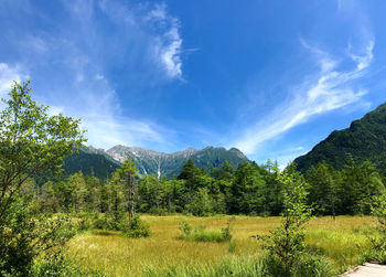 Scenic view of landscape against sky