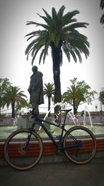 Man with bicycle on palm tree against sky