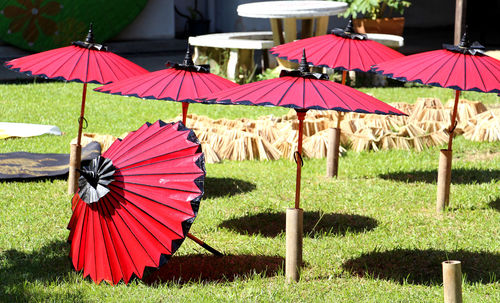Umbrella with umbrellas on grass