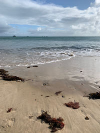 Scenic view of beach against sky