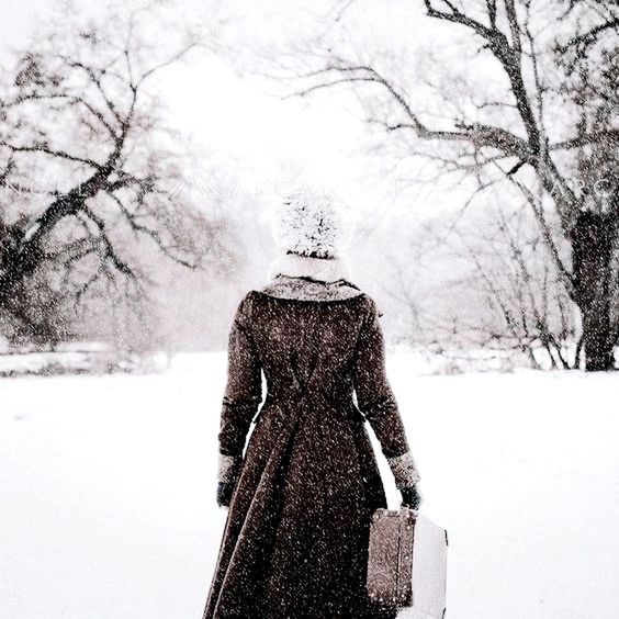 winter, cold temperature, tree, snow, clothing, nature, coat, bare tree, spring, one person, warm clothing, black and white, dress, rear view, plant, women, adult, day, hat, outdoors, standing, land, monochrome photography, white, fashion, branch, snowing