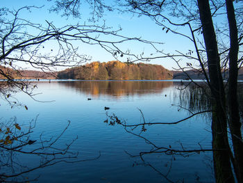 View of swan swimming in lake