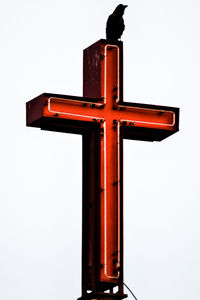 Close-up of red rose over white background