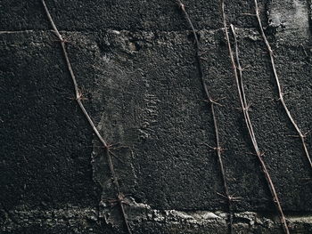 Full frame shot of wall