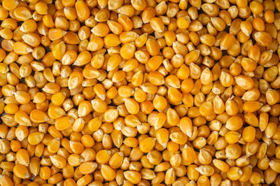 Full frame shot of corn