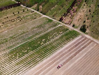 High angle view of road amidst field