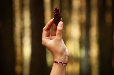 Cropped image of hand holding toy