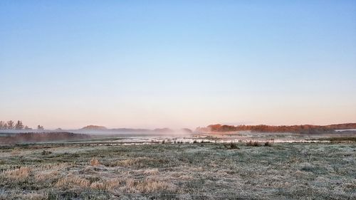 Scenic view of field against clear sky