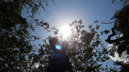 Low angle view of trees against clear blue sky