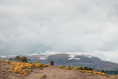 Scenic view of land against sky