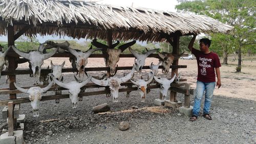 thatched roof