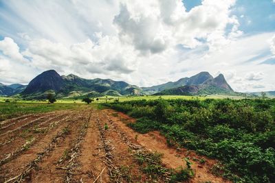 Scenic view of field against sky