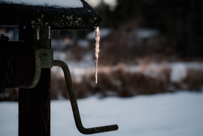 Close-up of hanging outdoors